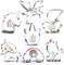 Unicorn Cookie Cutter Set-3 Inches-7 Piece-5 Unicorn Face&Head, Rainbow, Shooting Star, Fantasy Unicorn Fondant Molds for Kids Holiday Wedding Birthday Party Supplies Favors.